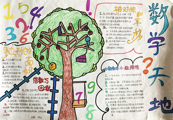 数学手抄报 部分优秀作品【浙江金华育才小学】(图11)