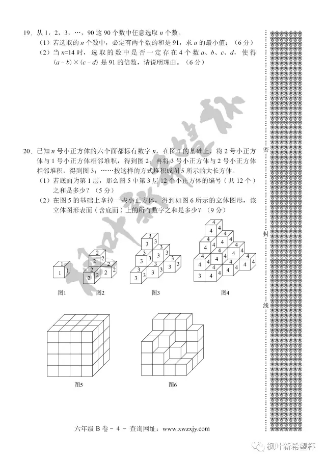 第十三届六年级BB卷试题以及答案(图4)